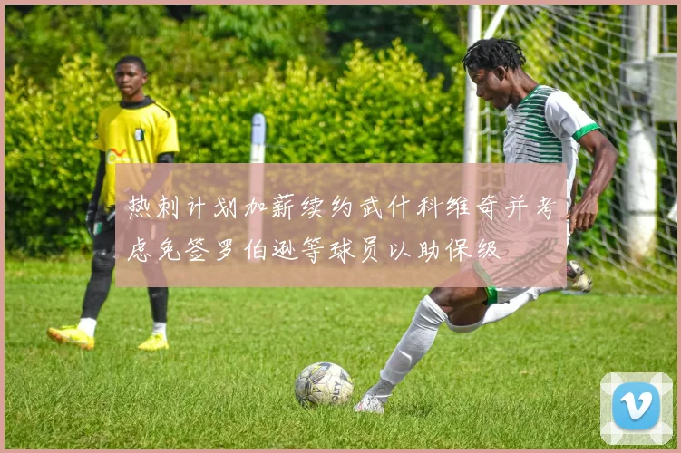 热刺计划加薪续约武什科维奇并考虑免签罗伯逊等球员以助保级